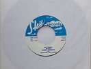 BOBBY Roberts BIG SANDY Rockabilly 45 Seventies REISSUE and Rare