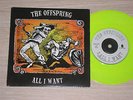 THE OFFSPRING - ALL I WANT / WAY DOWN THE LINE - 45 GIRI 7