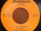 RARE 70's Soul Crossover Northern Chicago MERV MURPHY 45 It's Growing on SIMMONS