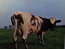 PINK FLOYD/ATOM HEART MOTHER LP 1970 HÖRZU EMI HARVEST SHZE 297 D