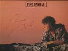 PINO DANIELE - Ferryboat - LP 12