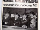 The Beatles Revolution/How Do You Do It   Picture Sleeve Red Vinyl Single