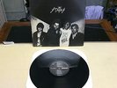 STAINS S/T LP SST Records TX KBD Punk Big Boys Black Flag Dicks Really Red Germs