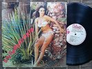 PACHITO NALMY / ROMPE ESA CADENA PERUVIAN GUAGUANCO SALSA BRAVA - CALIENTE LP