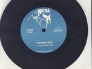 Chronic Sick - Reagan Bands / Crotch Rot - 7