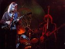 NEIL YOUNG & CRAZY HORSE Winterlong Live 1970 SWINGIN PIG 1989 2LP'S RARE