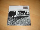 Mark Kozelek - The Finally LP - rare vinyl 2 LP from 2008 - Red House Painters