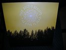 THE DECEMBERISTS **THE KING IS DEAD *BRAND NEW LP VINYL