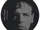 Gary Numan Absolution 12