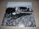 Mark Kozelek - The Finally LP (Sun Kil Moon, Red House Painters, Desertshore)