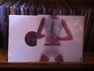 She wants revenge S / T LP double flawless RARE out