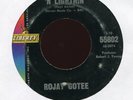 ROJAY GOTEE Thunder 'N Lightnin on Liberty Garage 45 Hear