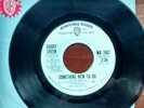 Bobby Sheen - Something New To Do. Warner Bros Demo Northern Soul 45RPM Single