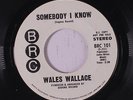 WALES WALLACE: Somebody I Know / Talk A Little Louder 45 (dj) rare Soul