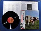 PINK FLOYD 
