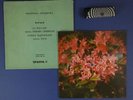 R-0734 GERARD LENORMAN La Ballade,DAVE Dansez rare FLEXI DISC  flowers