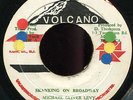Michael Oliver Levy - Skanking On Broadway JA orig Volcano 7