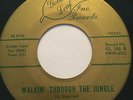 RARE OHIO TITTYSHAKER DOO-WOP 45/ THE V CASHMERES 