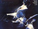 ORGM | Weather Report -  Weather Report 2LPs (45rpm) NEU