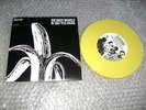 Dandy Warhols We Used To Be Friends 7