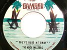 Soul 45 - Voice Masters - You’ve hurt me baby - Vg++