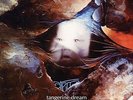 Tangerine Dream - Atem (Limited Edition 180g Vinyl LP) NEW/SEALED