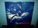 FLESHTONES  Foreverfleshtones  LP      blue vinyl     Greek pressing