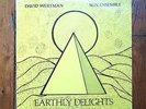 FREE JAZZ LP David Wertman  Sun Ensemble ? Earthly Delights