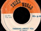 B. B. SEATON - THINKING ABOUT YOU / STAND UP BROTHER -THIRD WORLD REGGAE 45 7