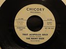 WLP The RAINY DAZE psych THAT ACAPULCO GOLD / IN MY MIND LIVES A FOREST Chicory