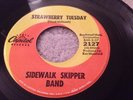 60s Garage Psyche - Sidewalk Skipper Band  - Strawberry Tuesday - EX. HEAR