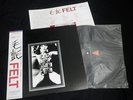 FELT- The Splendour of Fear Japan Vinyl LP w/OBI