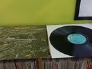 JIMMY BUFFETT DOWN TO EARTH BARNABY FULL SHRINK NM- VINYL 1ST PRESS 