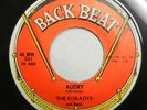 The ROB-ROYS 45 Audry b/w Tell Me Why US 1967 Rare Doo Wop  #H 612