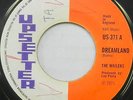 THE WAILERS 45 Dreamland UPSETTER 1971 Reggae MADE IN ENGLAND #C943