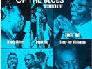 MUDDY WATERS | HOWLIN´ WOLF • FOLK FESTIVAL OF THE BLUES • 1963 WL LP ARGO 4031