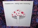  Mint MUSHROOM   EARLY ONE MORNING 1973 MONSTER RARE UK Folk PROG psych