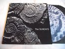 THE SUNDAYS   READING WRITING AND ARITHMETIC ** 1990 ROUGH TRADE LP PICTURE DISC