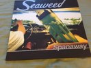 Seaweed-Spanaway LP OG PROMO COPY Grunge Nirvana Melvins Drug Church