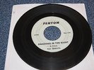 THE QUESTS SHADOWS IN THE NIGHT/WHAT CAN I DO 1967 FENTON 2174 GARAGE PUNK FUZZ
