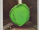 The Meters Cabbage Alley NEAR MINT Reprise Records Vinyl LP