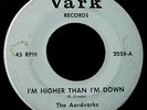 45RPM GARAGE BAND  THE AARDVARKS VARK 2058