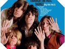 Through The Past Darky (Big Hits Vol 2) - Rolling Stones (2014, Vinyl NEW)