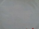 Quad Ortofon Promotion Stereo Test Record