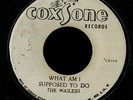 Wailers/Jackie Mittoo 