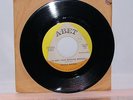 LUCILLE MATHIS Funk PROMO Northern Soul 45 I'm Not Your Regular Woman A-BET mp3