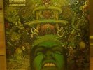 AGORAPHOBIC NOSEBLEED AGORAPOCALYPSE LP GREEN insect warfare pig destroyer GRIND