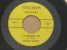 DISTANT SOUNDS IT REMINDS ME CITATION orig US GARAGE MOD BEAT SURF 7