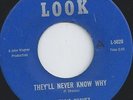 FREDDIE CHAVEZ - THEY'LL NEVER KNOW WHY