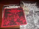 INSECT WARFARE-World Extermination LP RARE CLEAR VINYL/RED SLEEVE ONLY 14 MADE